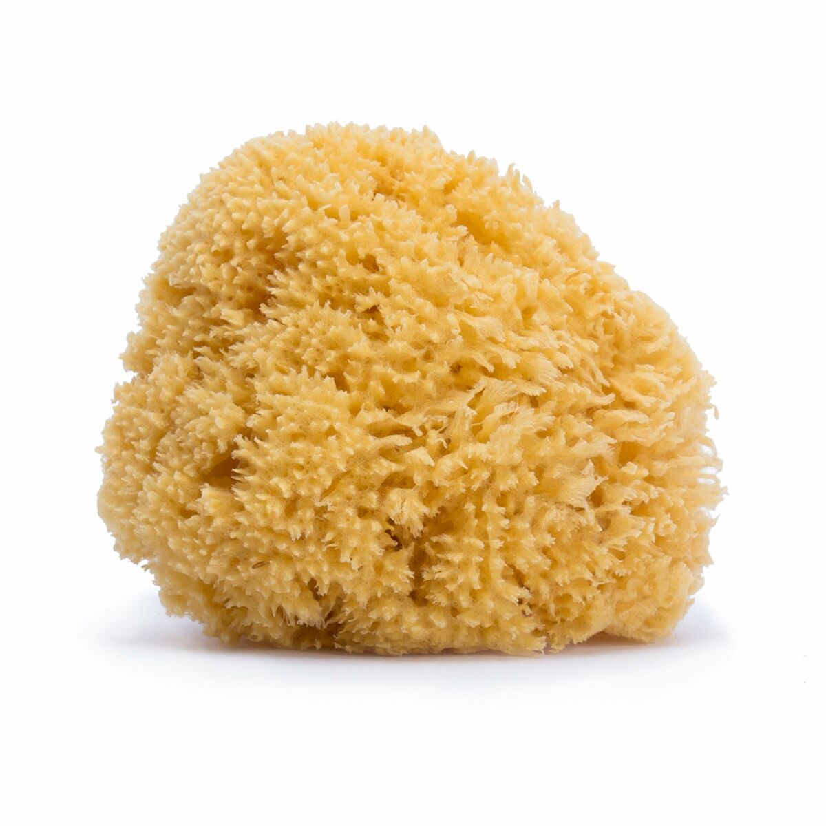 Body Sponge Suavinex Large Natural – Duvencioglu