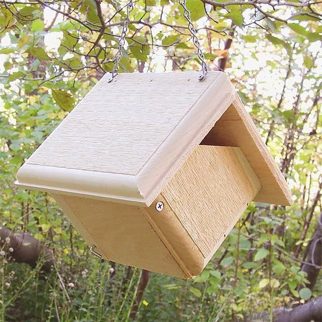 Hand Crafted Pine Wood Hanging Bird House - Designed for Carolina Wrens (Made in USA) – Duvencioglu