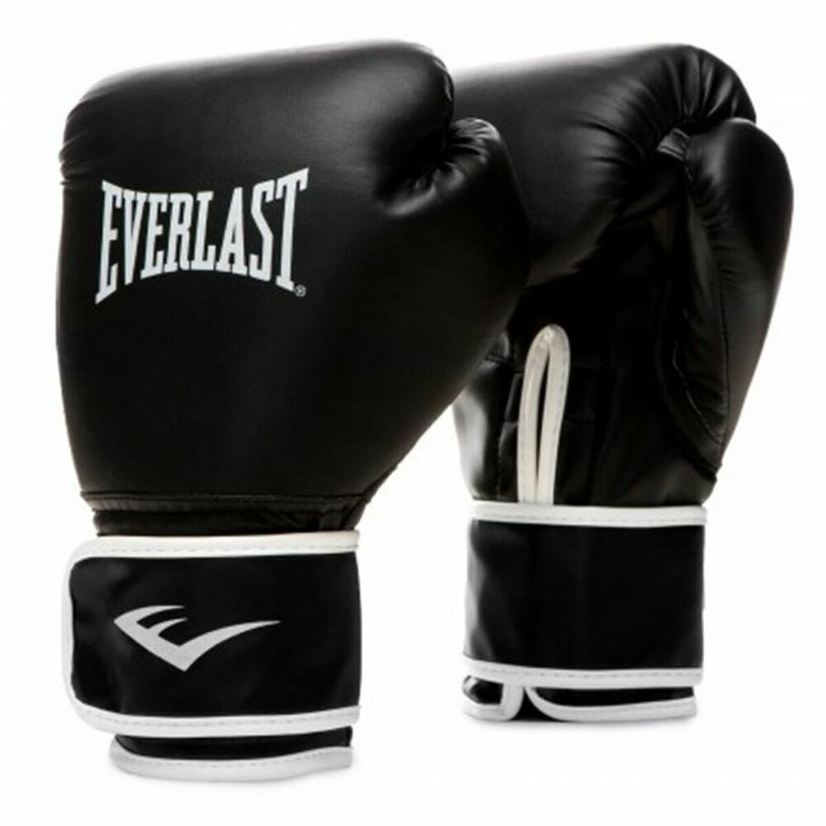 Boxing gloves Everlast Core 2 – Duvencioglu