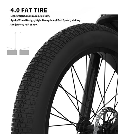 Conquer Any Trail: 26" Fat Tire Electric Bike with 1000W Motor & 52V Battery – Duvencioglu