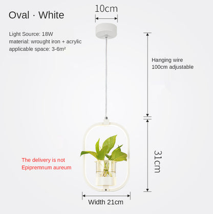 B107 Nordic Iron LED Chandelier – 3-Color Dimming Restaurant Pendant – Duvencioglu