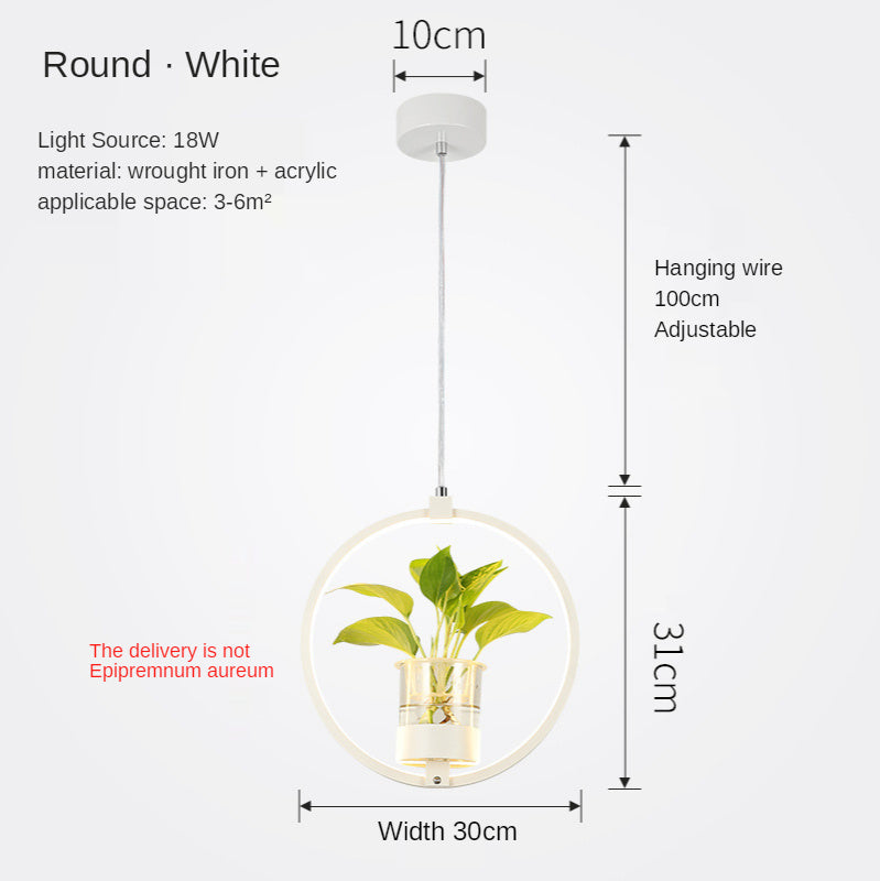 B107 Nordic Iron LED Chandelier – 3-Color Dimming Restaurant Pendant – Duvencioglu