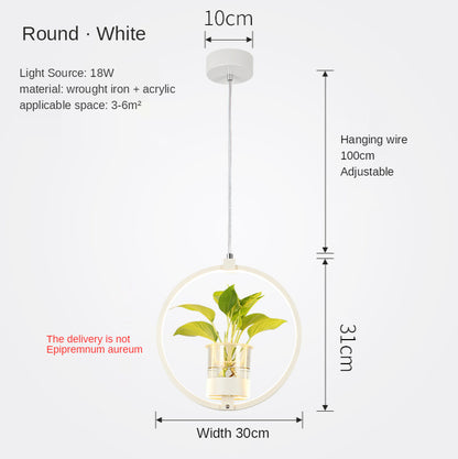 B107 Nordic Iron LED Chandelier – 3-Color Dimming Restaurant Pendant – Duvencioglu