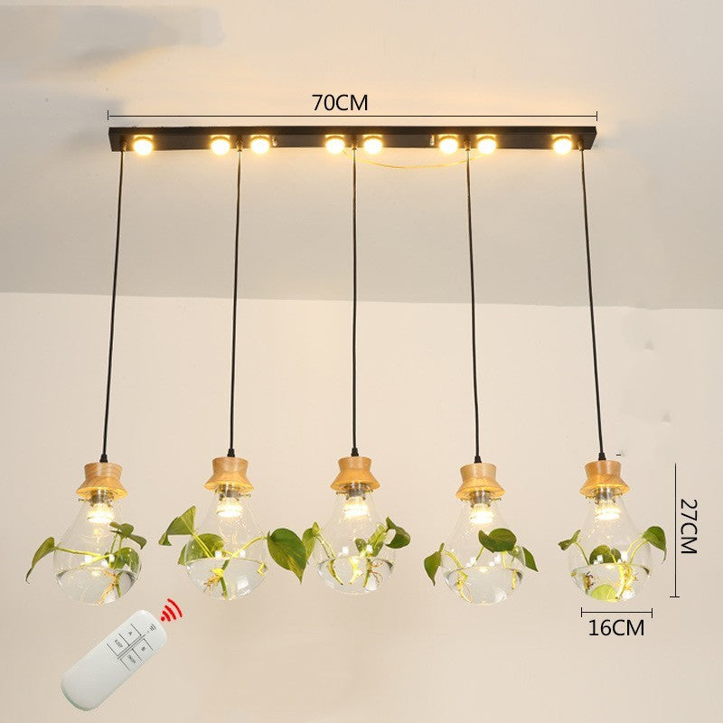Aquarium-Style Glass & Wood LED Chandelier – 160 mm Single-Head Pendant – Duvencioglu