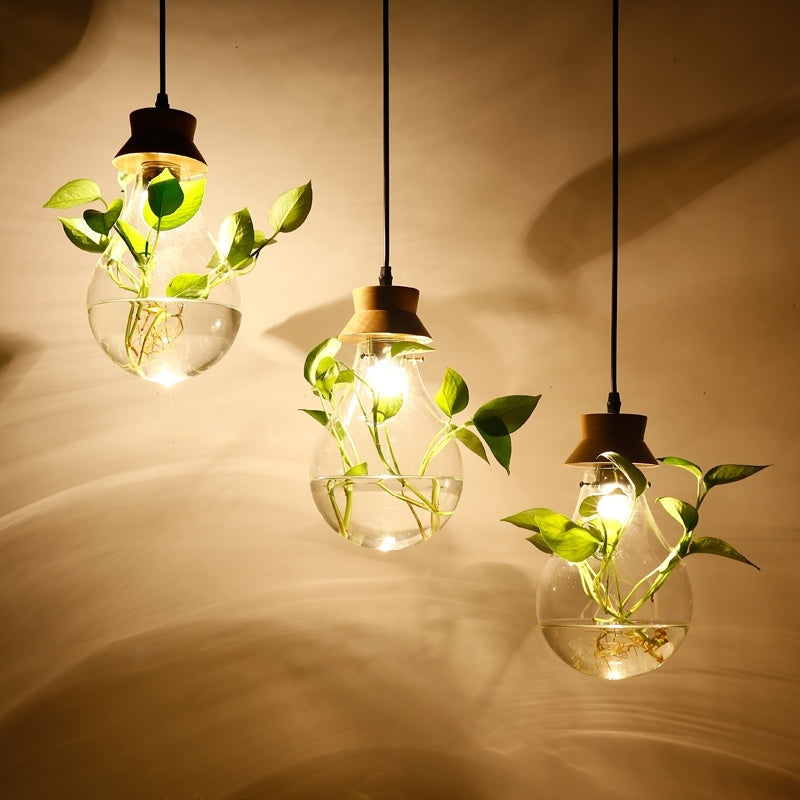 Aquarium-Style Glass & Wood LED Chandelier – 160 mm Single-Head Pendant – Duvencioglu