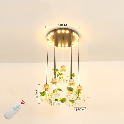 Aquarium-Style Glass & Wood LED Chandelier – 160 mm Single-Head Pendant – Duvencioglu